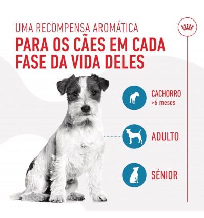 Royal Canin Cão Training Treats Educ 110gr