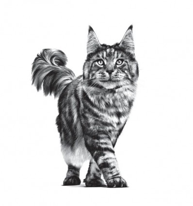 Royal Canin Hypoallergenic Feline 4,5Kg