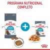 Royal Canin Urinary Care (Gravy), Gatos, Húmidos, Adulto, Alimento