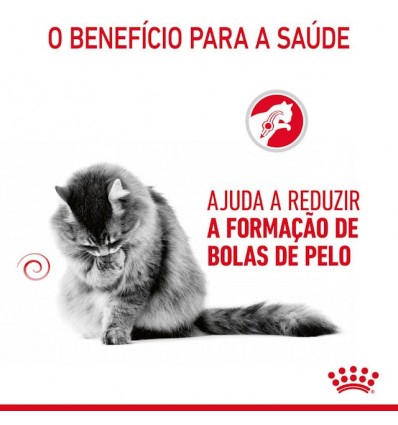 Royal Canin Hairball Care (Jelly), Gatos, Húmidos, Adulto, Alimento