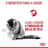 Royal Canin Hairball Care (Jelly), Gatos, Húmidos, Adulto, Alimento