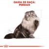 Royal Canin Persa (Loaf), Gatos, Húmidos, Alimento