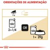 Royal Canin Persa (Loaf), Gatos, Húmidos, Alimento
