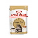 Royal Canin Maine Coon (Loaf), Gatos, Húmidos, Alimento