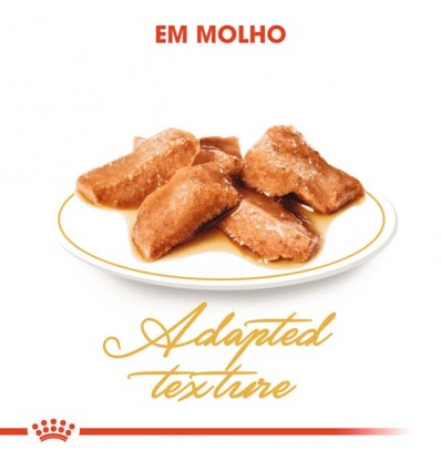 Royal Canin Maine Coon (Loaf), Gatos, Húmidos, Alimento
