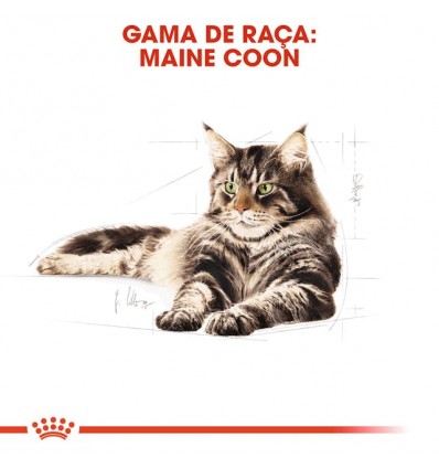Royal Canin Maine Coon (Loaf), Gatos, Húmidos, Alimento