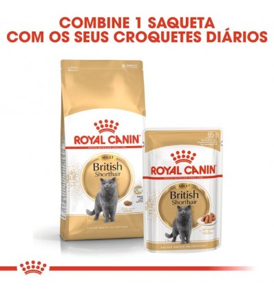 Royal Canin British Shorthair (Loaf), Gatos, Húmidos, Alimento