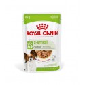 Royal Canin X-small Adult, Cão, Húmidos, Adulto, Alimento