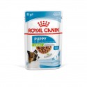 Royal Canin X-small Puppy, Cão, Húmidos, Cachorro, Alimento