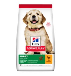 Hill's Science Plan Cão Puppy Large Breed Frango