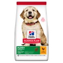 Hill's Science Plan Cão Puppy Large Breed Frango