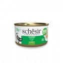 Schesir Gato Húmidos in jelly Filetes de Frango