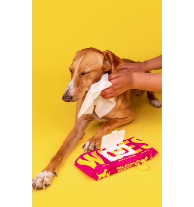 Dashi Toalhitas de Limpeza Bamboo Baby Powder p/ Cão e Gato 40 uni.