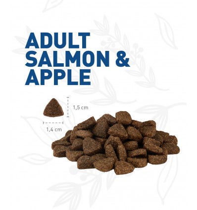 Weego Cão Adulto Salmão e Maça