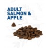 Weego Cão Adulto Salmão e Maça