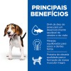 Hill's Science Plan Puppy Medium 12kg