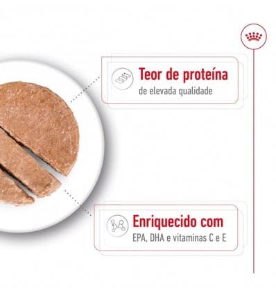 Royal Canin Medium Ageing 10+, Cão, Húmidos, Adulto, Alimento