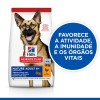 Hill's Science Plan Canine Mature Adult 5+ Large Breed Frango 12kg