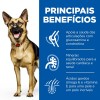 Hill's Science Plan Canine Mature Adult 5+ Large Breed Frango 12kg