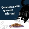 Purina Gatos Húmidos Felix Deliciously Sliced (Seleção Favoritos) 12x80gr.
