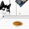 Purina Gatos Húmidos Felix Soup Original (seleção de peixes) 6x48gr.