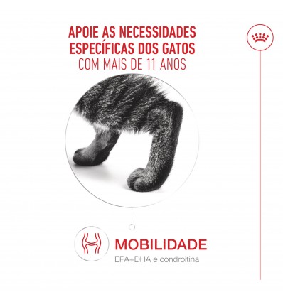 Royal Canin Ageing 11+, Gato, Seco, Sénior, Alimento/Ração