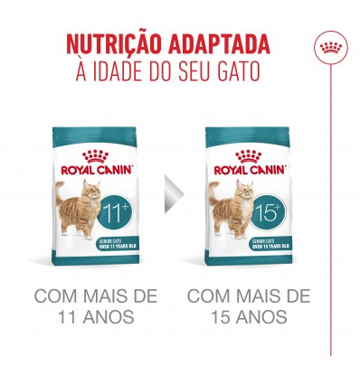 Royal Canin Ageing 11+, Gato, Seco, Sénior, Alimento/Ração