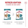 Royal Canin Ageing 11+, Gato, Seco, Sénior, Alimento/Ração