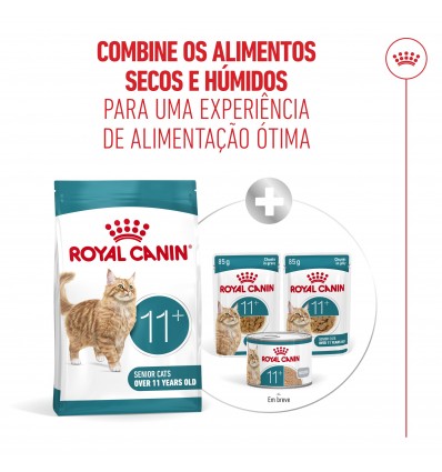 Royal Canin Ageing 11+, Gato, Seco, Sénior, Alimento/Ração