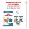 Royal Canin Ageing 11+, Gato, Seco, Sénior, Alimento/Ração