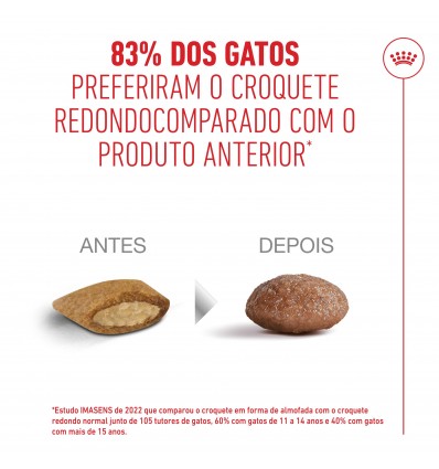 Royal Canin Ageing 11+, Gato, Seco, Sénior, Alimento/Ração