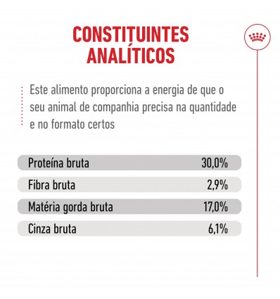 Royal Canin Ageing 11+, Gato, Seco, Sénior, Alimento/Ração