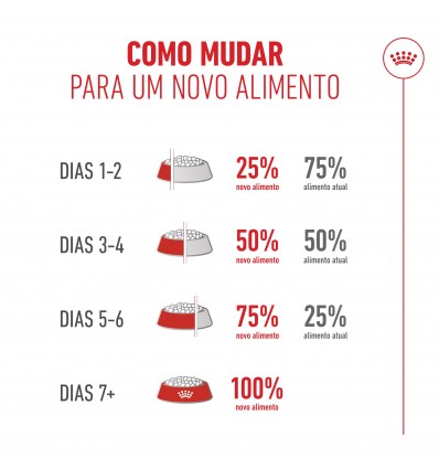 Royal Canin Ageing 11+, Gato, Seco, Sénior, Alimento/Ração