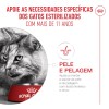 Royal Canin Ageing 11+ Sterilised, Gato, Seco, Sénior, Alimento/Ração