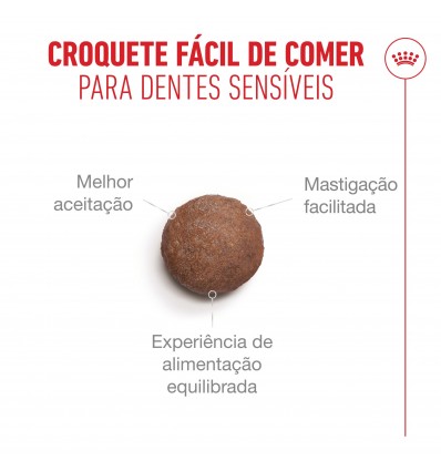Royal Canin Ageing 11+ Sterilised, Gato, Seco, Sénior, Alimento/Ração