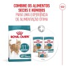 Royal Canin Ageing 11+ Sterilised, Gato, Seco, Sénior, Alimento/Ração