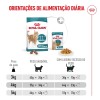 Royal Canin Ageing 11+ Sterilised, Gato, Seco, Sénior, Alimento/Ração