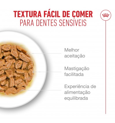 Royal Canin Ageing +11 (Gravy), Gatos, Húmidos, Sénior, Alimento