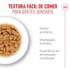 Royal Canin Ageing +11 (Gravy), Gatos, Húmidos, Sénior, Alimento