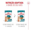 Royal Canin Ageing +11 (Gravy), Gatos, Húmidos, Sénior, Alimento