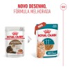 Royal Canin Ageing +11 (Gravy), Gatos, Húmidos, Sénior, Alimento