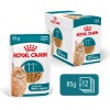 Royal Canin Ageing +11 (Gravy), Gatos, Húmidos, Sénior, Alimento