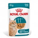 Royal Canin Ageing +11 (Jelly), Gatos, Húmidos, Sénior, Alimento