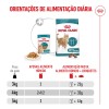 Royal Canin Ageing +11 (Jelly), Gatos, Húmidos, Sénior, Alimento