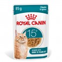 Royal Canin Ageing +15 (Gravy), Gatos, Húmidos, Sénior, Alimento