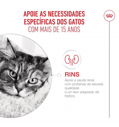 Royal Canin Ageing +15 (Gravy), Gatos, Húmidos, Sénior, Alimento