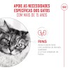 Royal Canin Ageing +15 (Gravy), Gatos, Húmidos, Sénior, Alimento