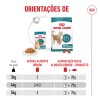 Royal Canin Ageing +15 (Gravy), Gatos, Húmidos, Sénior, Alimento