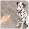 Trixie Cão Snack Escalpe de Búfalo Liofilizado 200gr