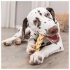 Trixie Cão Snack Escalpe de Búfalo Liofilizado 200gr